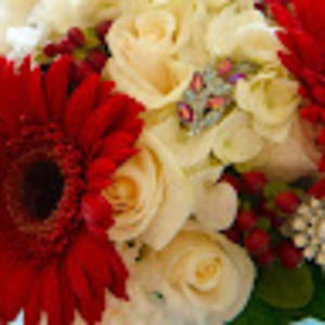 Meet your Posher, Liz